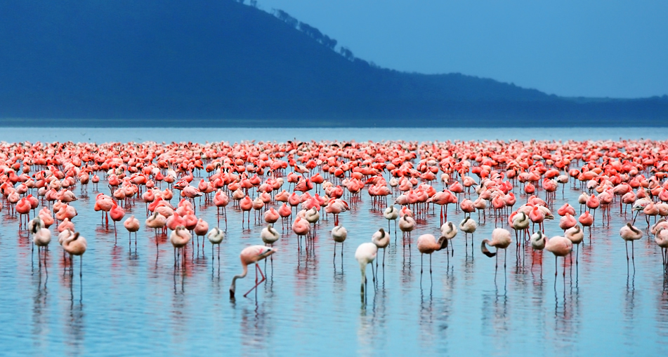 Lake Nakuru National Park