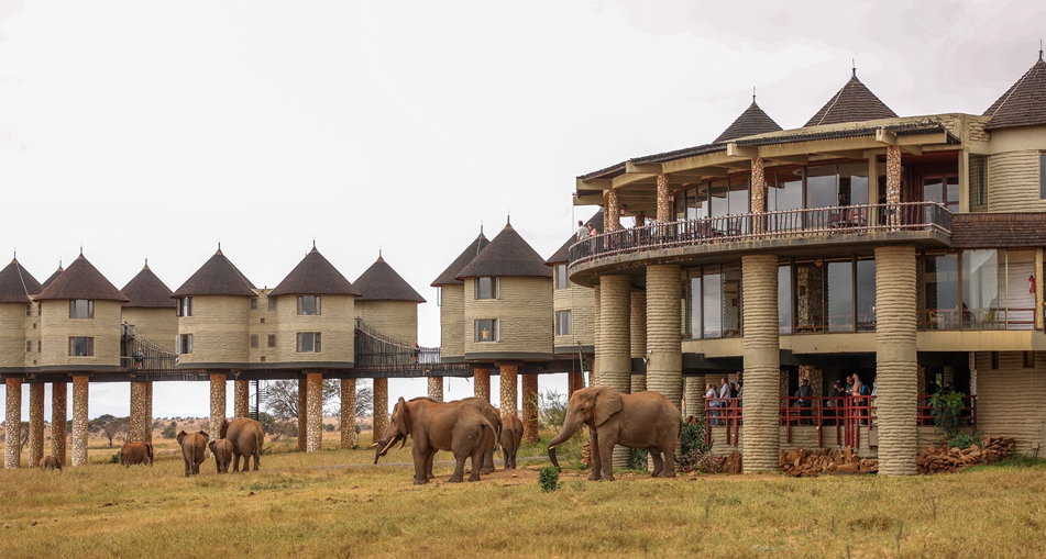 5 Days Tsavo, Amboseli & Taita Hills Safari from Mombasa – Salt Lick Lodge Experience